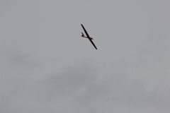 flyingcircus2k15_176_20150714_1670723578