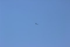 flyingcircus2k15_39_20150714_1535784900