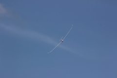 flyingcircus2k15_81_20150714_1491384447