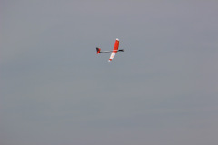 fs2016-_113_20160726_1064673900