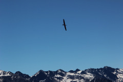fs2016-_78_20160726_1582069901