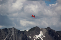 fs2016-_91_20160726_1153447313