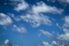 fiss_2021-_25_20210823_1434566991