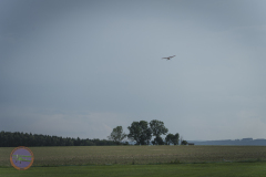 freitags-2023-_27_20230819_1391604893