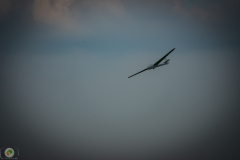 ff-2021_106_20210619_1863813022