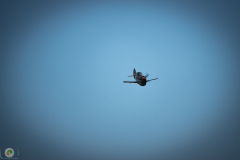 ff-2021_113_20210619_1691707685