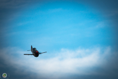 ff-2021_114_20210619_1667562039