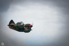 ff-2021_117_20210619_1174186709
