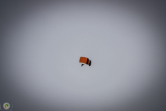 ff-2021_126_20210619_1309442434
