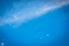 ff-2021_130_20210619_1161854255