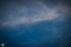 ff-2021_132_20210619_2037916094