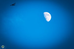 ff-2021_135_20210619_1913384580