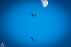 ff-2021_141_20210619_2086339680