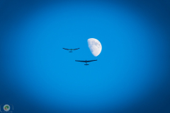 ff-2021_142_20210619_1131074485