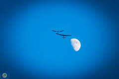 ff-2021_143_20210619_1331977274