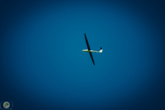 ff-2021_14_20210619_2062045581
