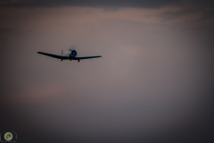 ff-2021_156_20210619_1333342784