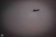 ff-2021_158_20210619_1723716493