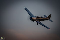 ff-2021_159_20210619_1727272647