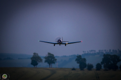 ff-2021_161_20210619_1265711153