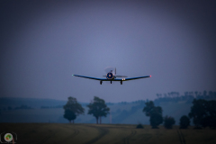 ff-2021_162_20210619_1276812067