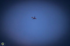 ff-2021_167_20210619_1180630008