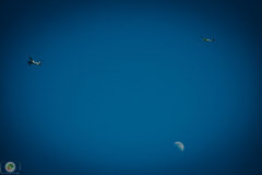 ff-2021_18_20210619_1914179245