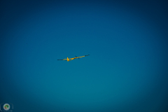 ff-2021_22_20210619_1476744368