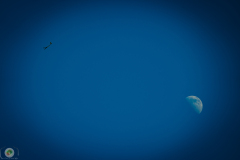 ff-2021_27_20210619_1485903085