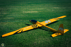 ff-2021_2_20210619_1270289090