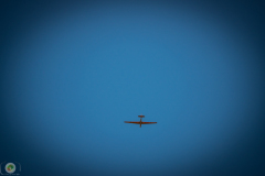 ff-2021_49_20210619_1293285716