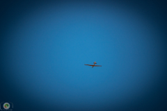 ff-2021_50_20210619_1514452483