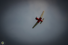 ff-2021_65_20210619_2021206034