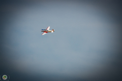 ff-2021_66_20210619_1295525293