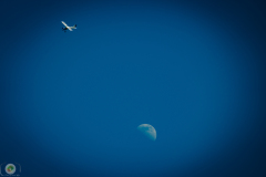 ff-2021_6_20210619_1248962349