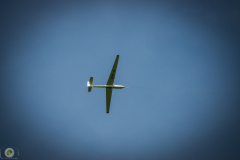 ff_11_20210620_1991128613