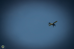 ff_12_20210620_2080188687