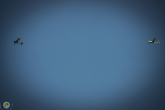 ff_14_20210620_1390881746