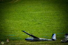 ff_16_20210620_2016011255