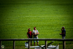 ff_17_20210620_1503452182