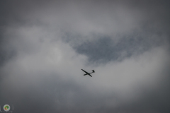 ff_19_20210620_1991670088