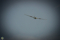 ff_25_20210620_1278871764