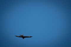 fruehjahr2021_22_20210330_1661226471