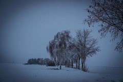 januar2021_15_20210109_1202457007