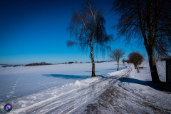 schnee-jan-21-_10_20210131_1335794137
