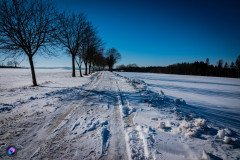 schnee-jan-21-_11_20210131_1579172964