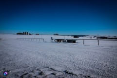 schnee-jan-21-_13_20210131_1570500474