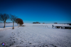 schnee-jan-21-_15_20210131_1856025489