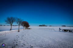 schnee-jan-21-_16_20210131_1282610385