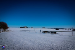 schnee-jan-21-_17_20210131_1907857307